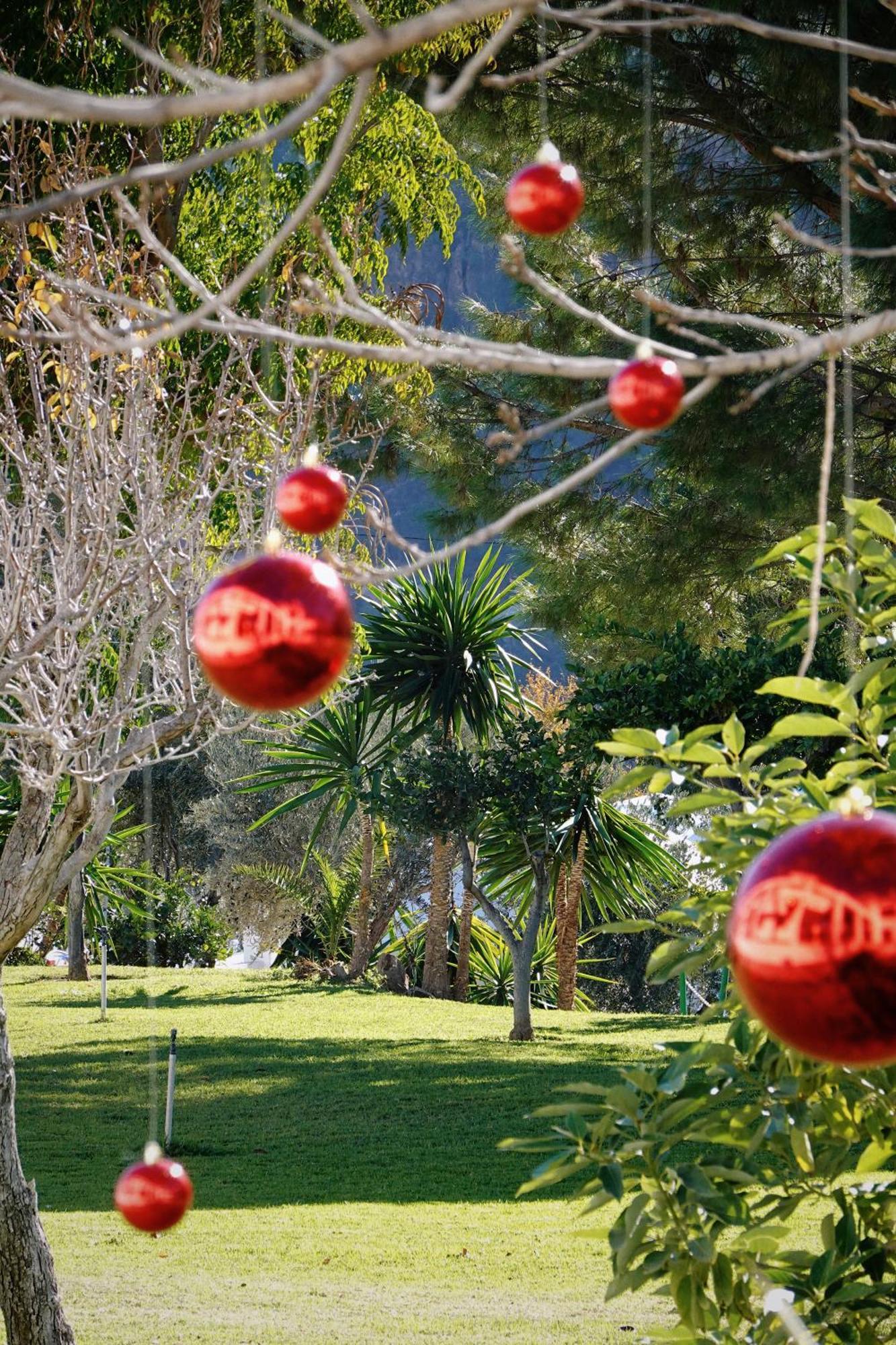 Hotel Taray Botanico أورخيفا المظهر الخارجي الصورة